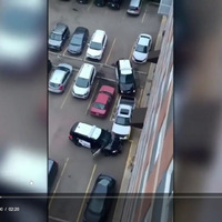 A video filmed by a bystander on a balcony above the incident (posted to Twitter but since removed) shows a white pickup truck try to evade the police vehicles boxing it in by backing into one and driving forward into another, before it stops. Officers converge on the scene, but their interactions with the vehicle's driver are largely obscured by an awning, but it is clear that at least one officer kicks the driver. A handcuffed Parkhurst and a bald police officer come into view as the officer walks him towards a police vehicle; the officer slams him up against the vehicle.